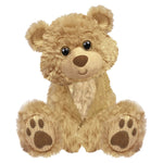 Plush Teddy Bear